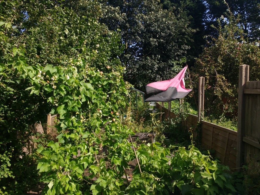 A green garden with lots of permaculture and a greenhouse. A black and red flag is flying in the wind.